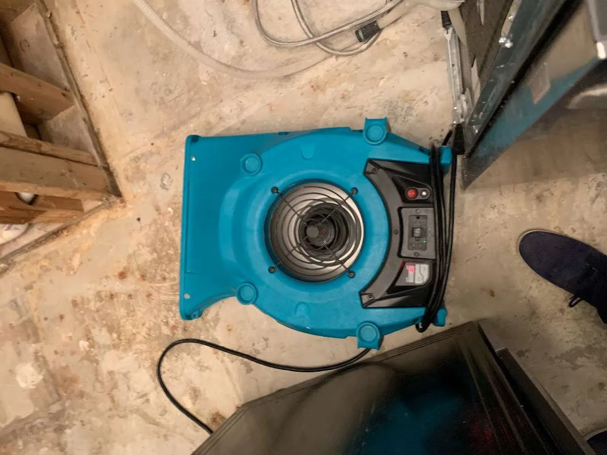 Air mover drying equipment for Mold Remediation & Removal in Herndon